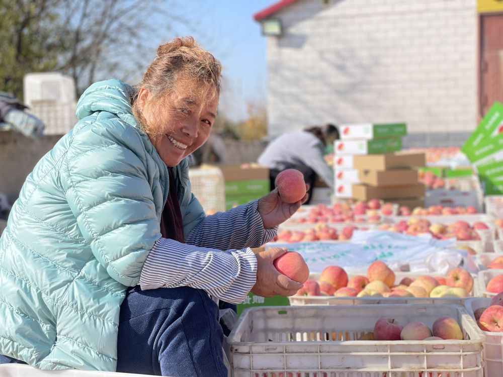 昌平苹果：经过半个多世纪的陪伴，寻常水果也有北京味道